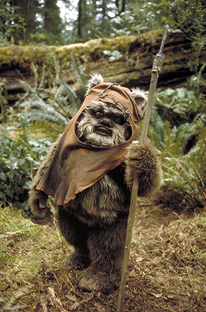 Wicket W. Warrick