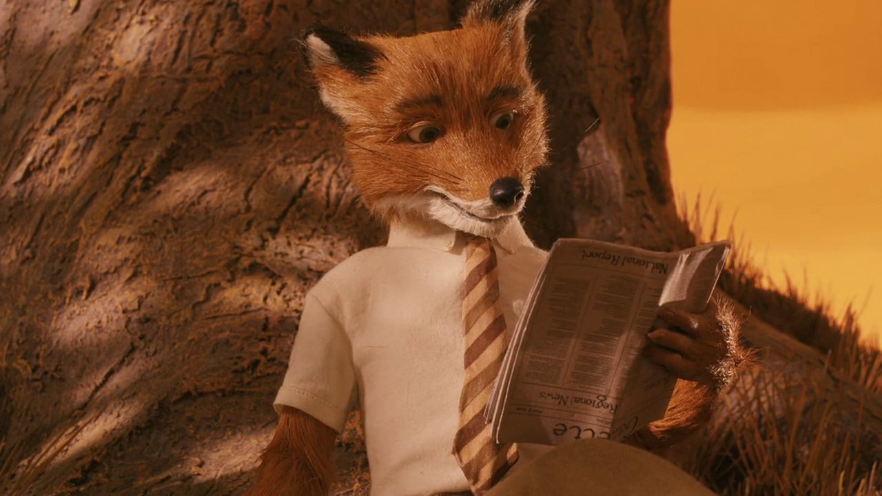 Mr. Fox