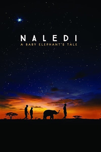 Naledi: A Baby Elephants Tale
