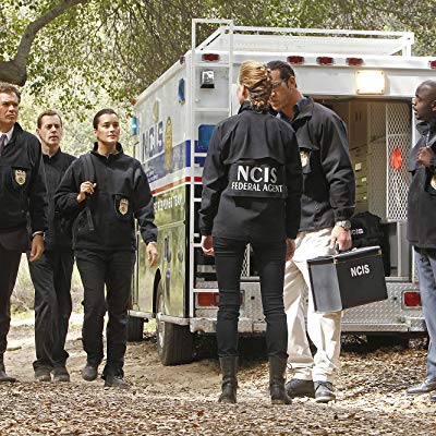 NCIS Special Agent Gayne Levin