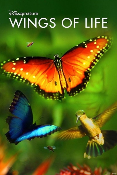 Disneynature: Wings of Life [Sub: Eng]
