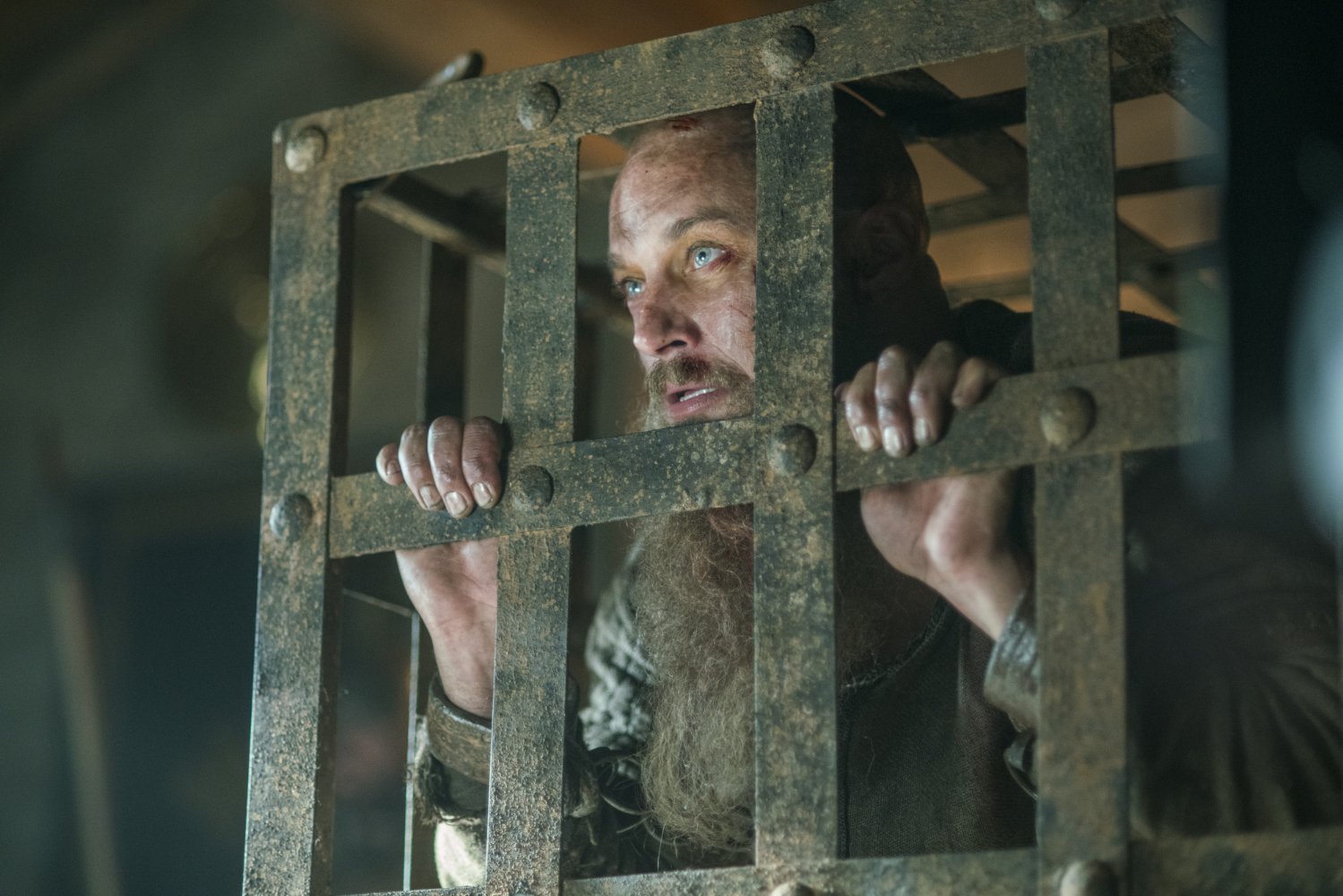 Travis Fimmel