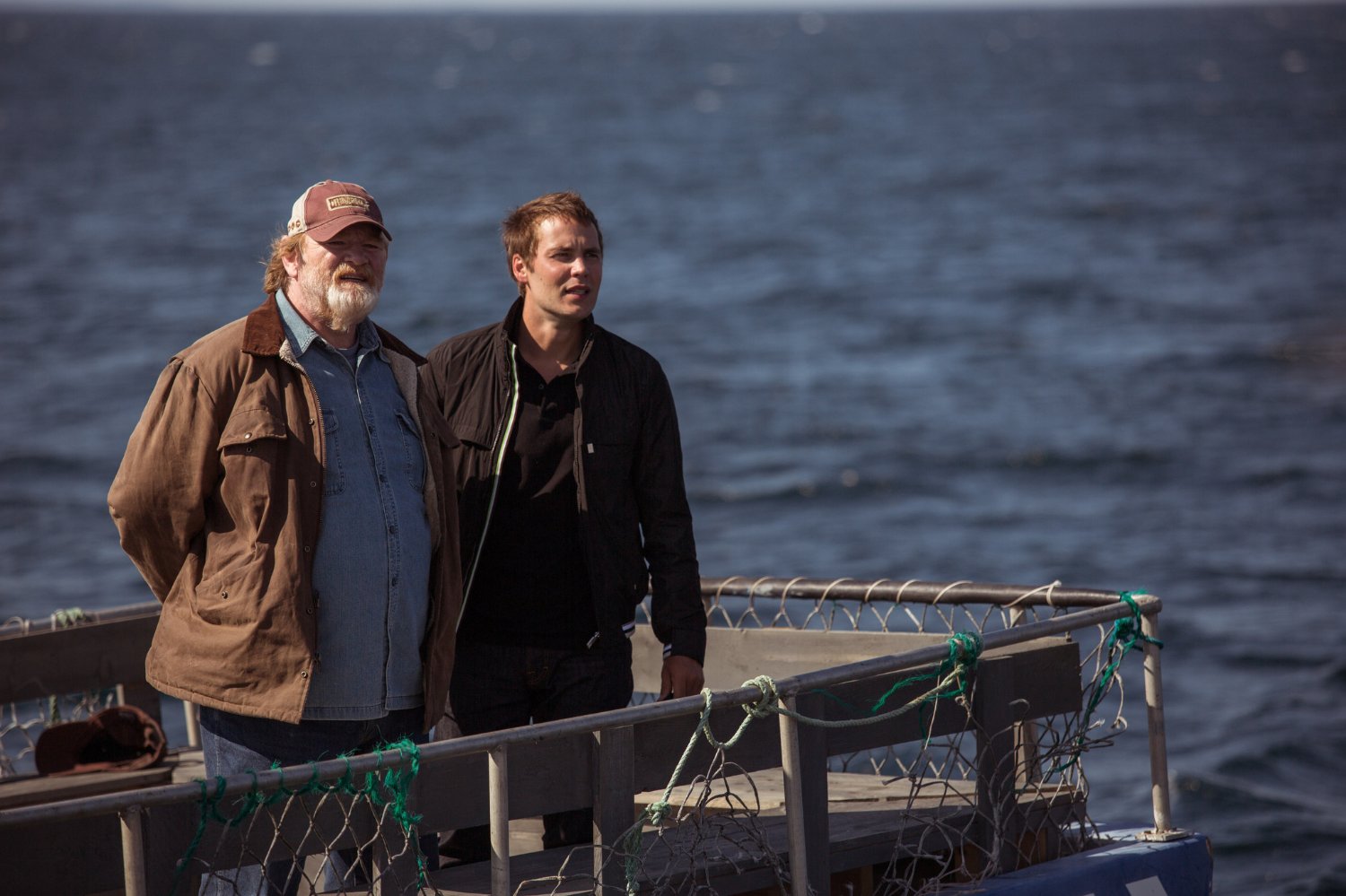 Brendan Gleeson