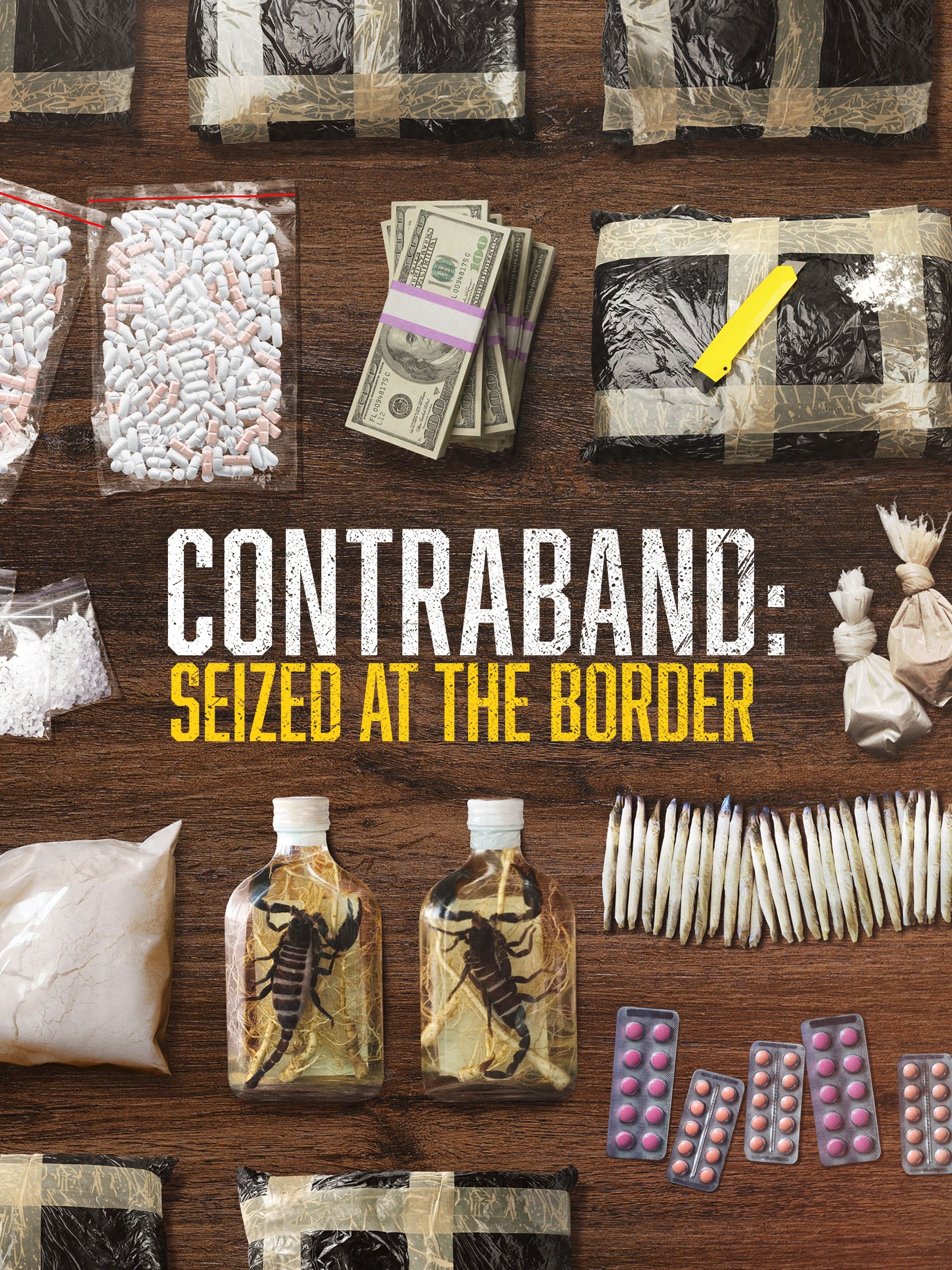 Contraband: Seized at the Border - Season 9