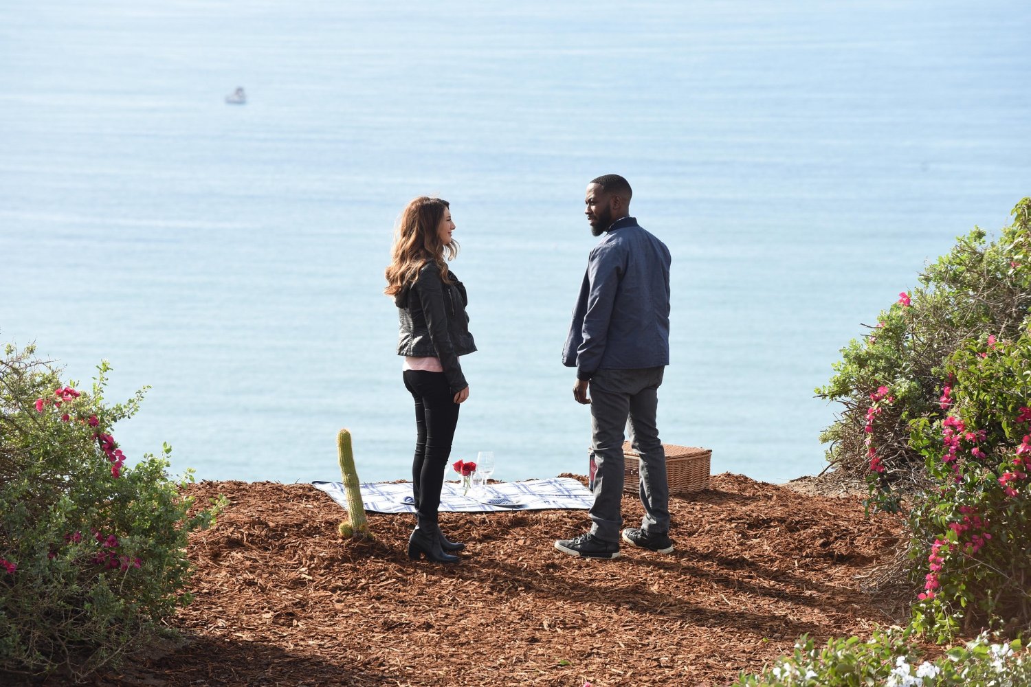 Nasim Pedrad