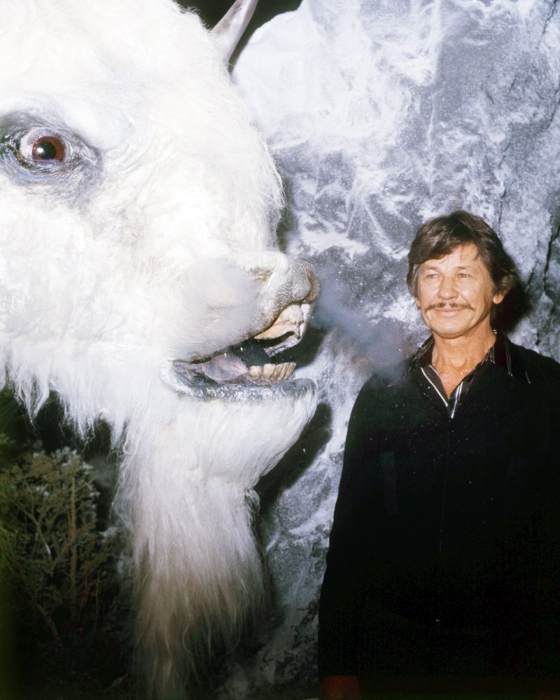 Charles Bronson