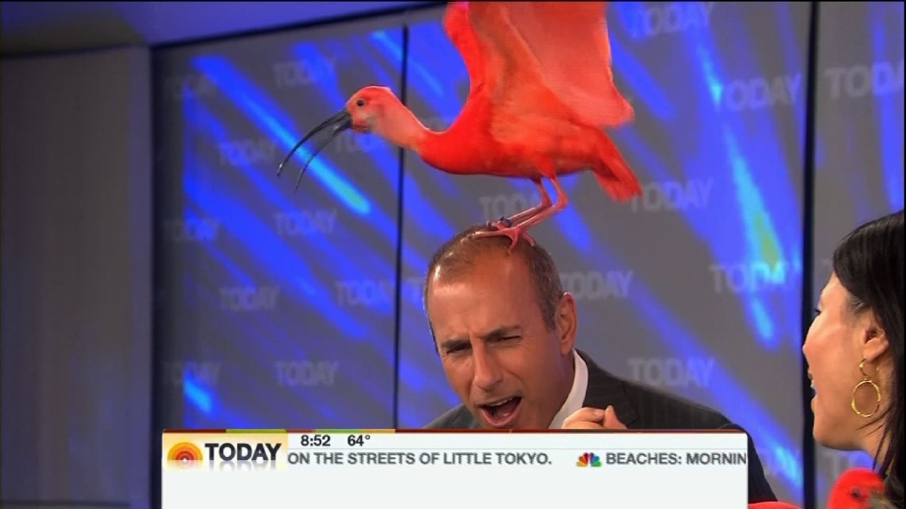 Matt Lauer