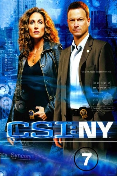 CSI: NY - Season 7