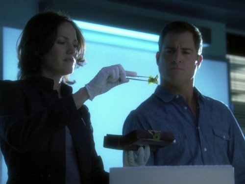 Jorja Fox