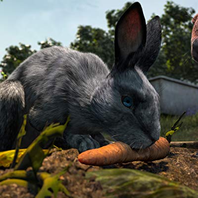 Bluebell