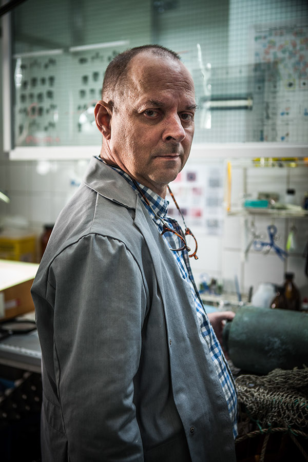 Mats Bergman