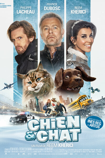 Cat and Dog (Chien et chat)