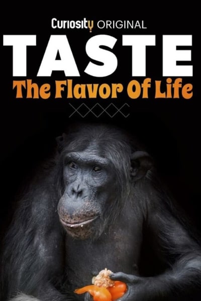 Taste The Flavour of Life - Season 1