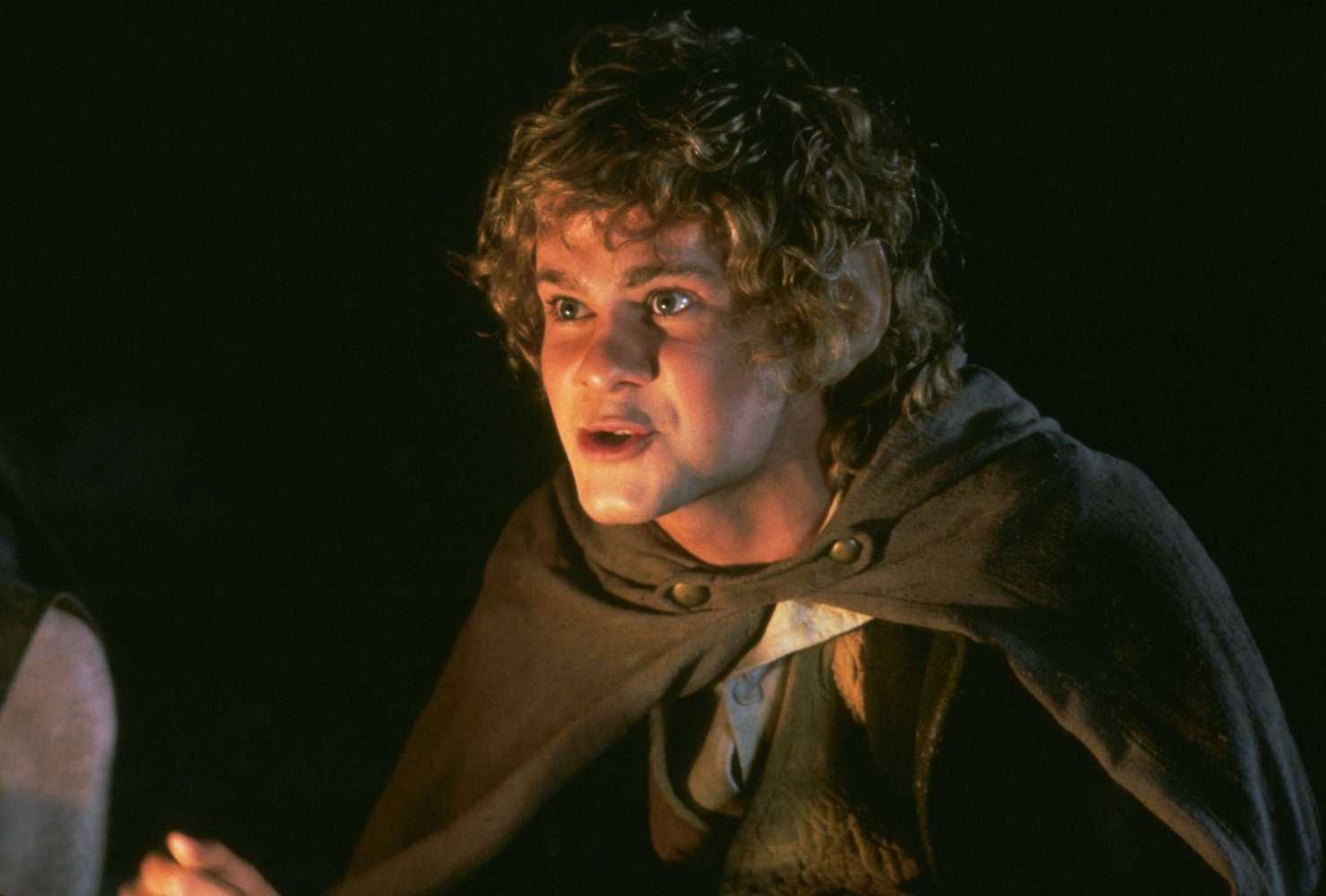 Meriadoc 'Merry' Brandybuck