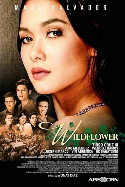 Wildflower - Season 2