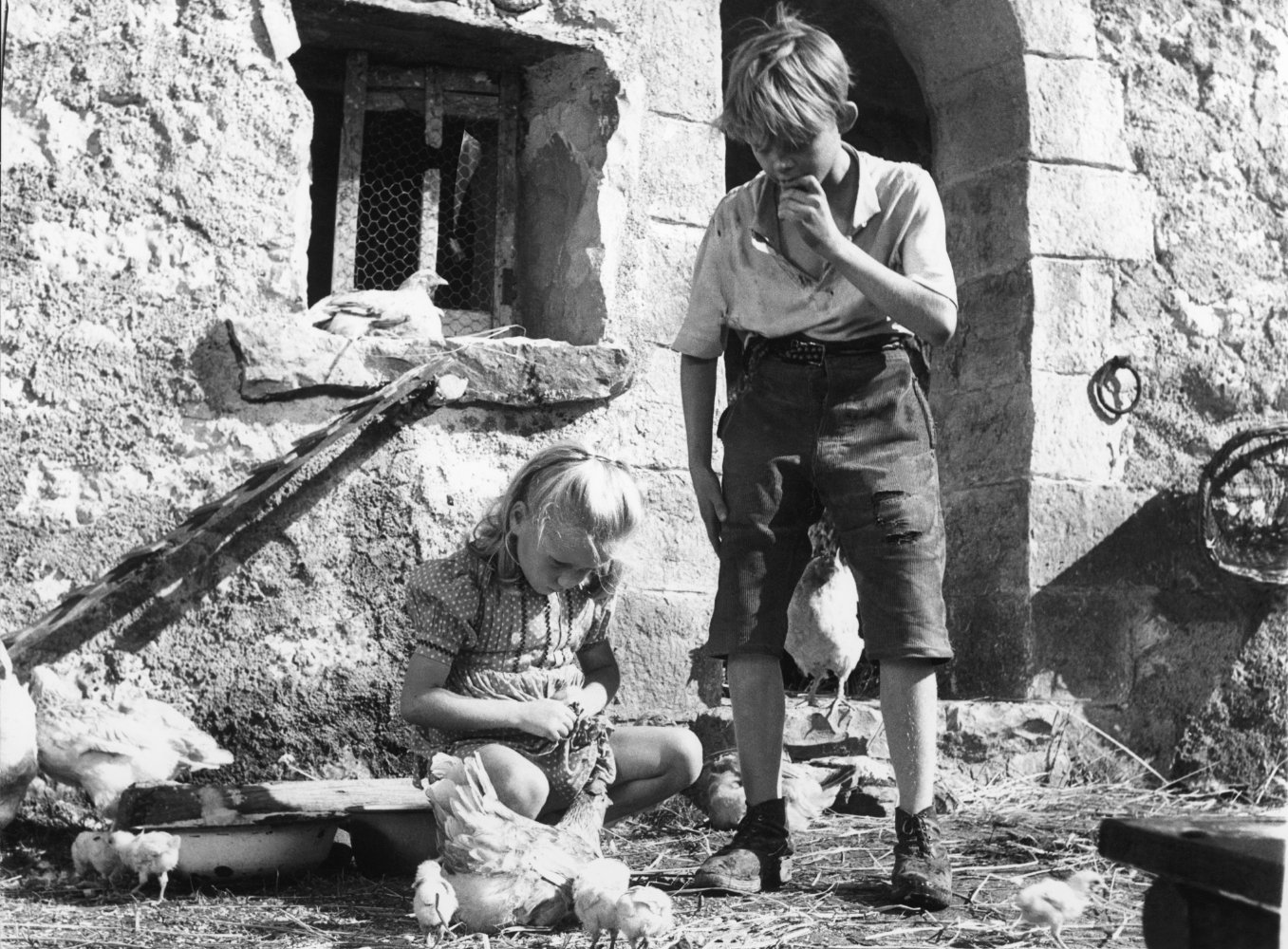 Brigitte Fossey
