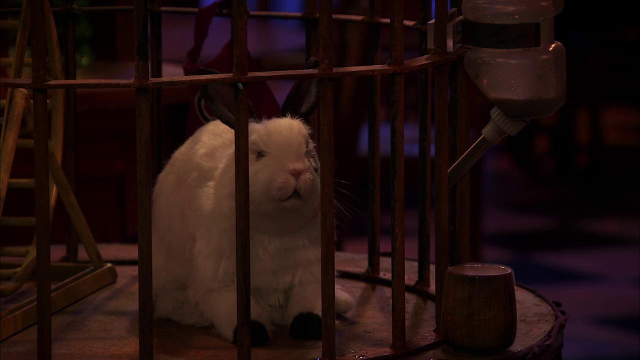 Dr. Colosso