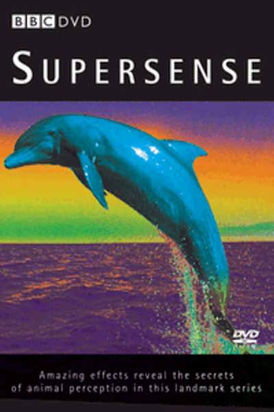 Supersense - Season 1