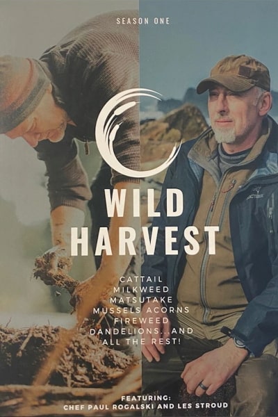 Wild Harvest - Season 1