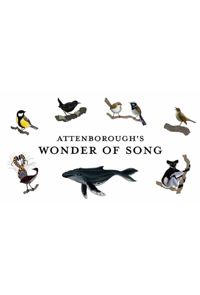 Attenborough`s Wonder of Song