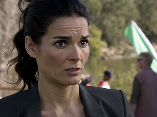Angie Harmon