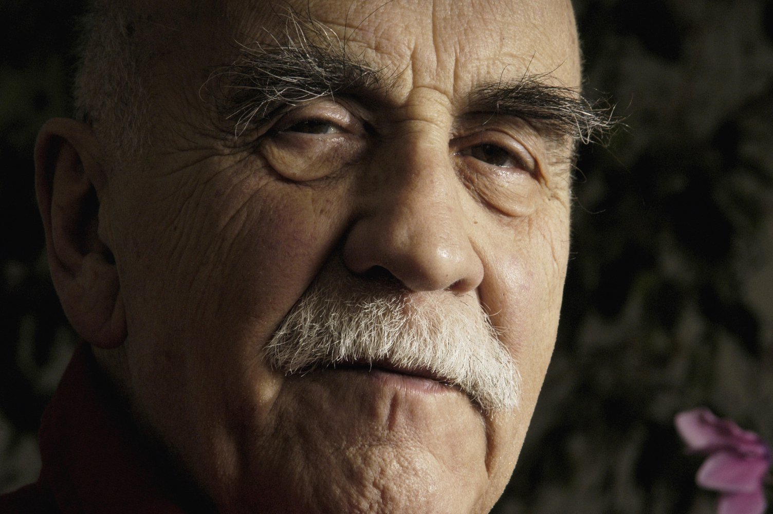 Warren Mitchell