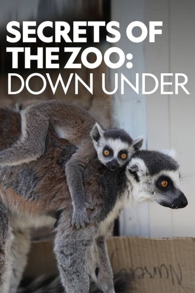 Secrets of the Zoo: Down Under - Season 1