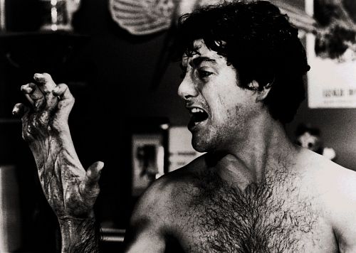 David Naughton
