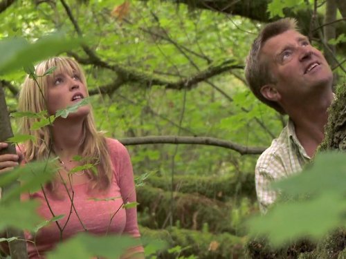 Pete Nelson